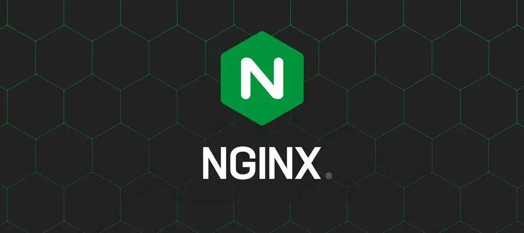nginx禁止文件下载防止服务器被恶意扫描-知新网