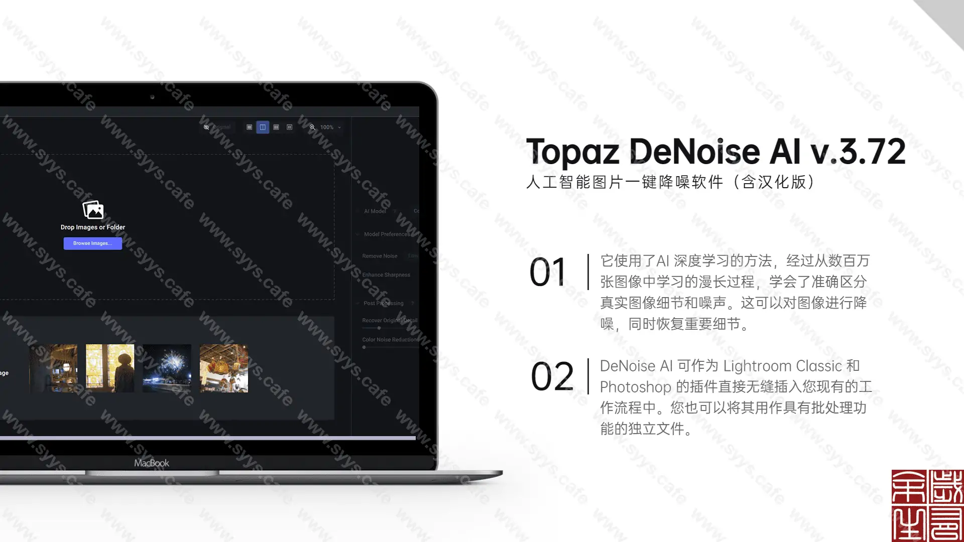 图片[1] - Topaz DeNoise Ai - 软件资源 - 岁有余生