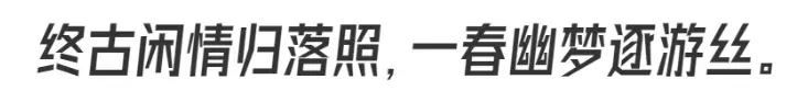 QQ截图20231205181617