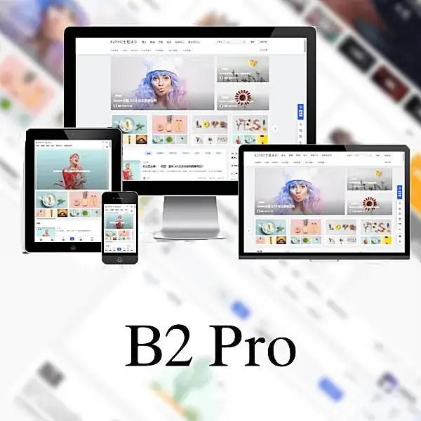 B2 PRO – WordPress多功能商用主题 v5.2.0免授权版-知新网