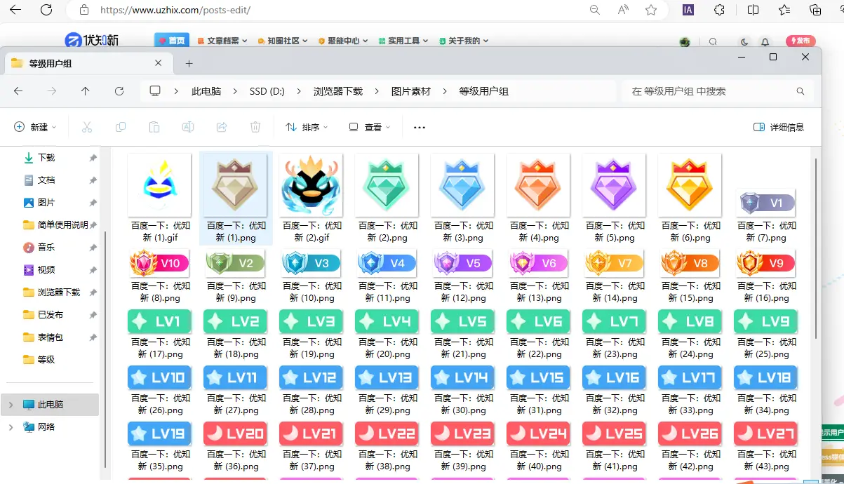 炫彩用户组等级lv1-60统一风格附加炫酷彩钻徽标一共79个-素材营地论坛-资源地带-知新网