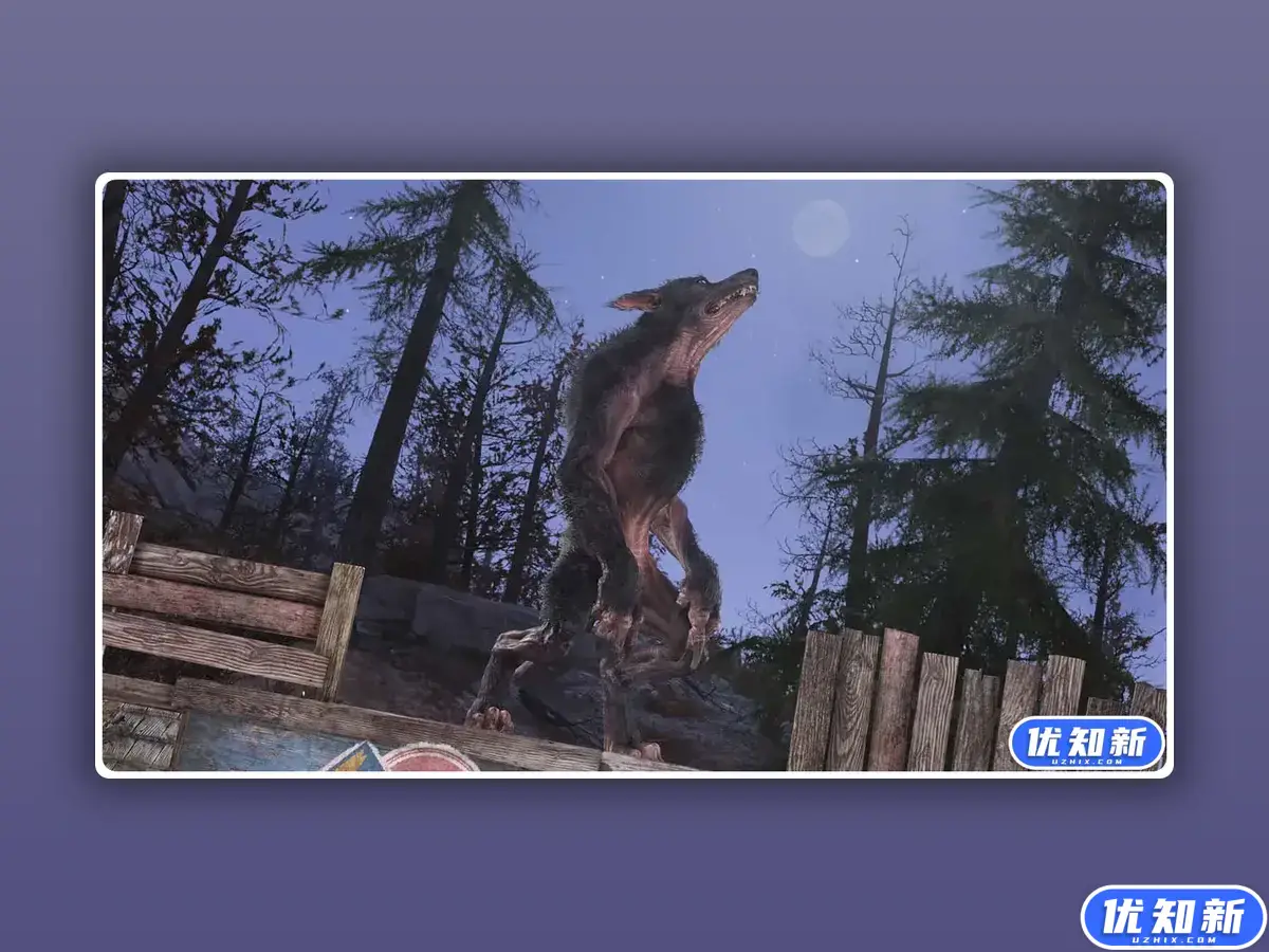 辐射76/Fallout 76/支持网络联机