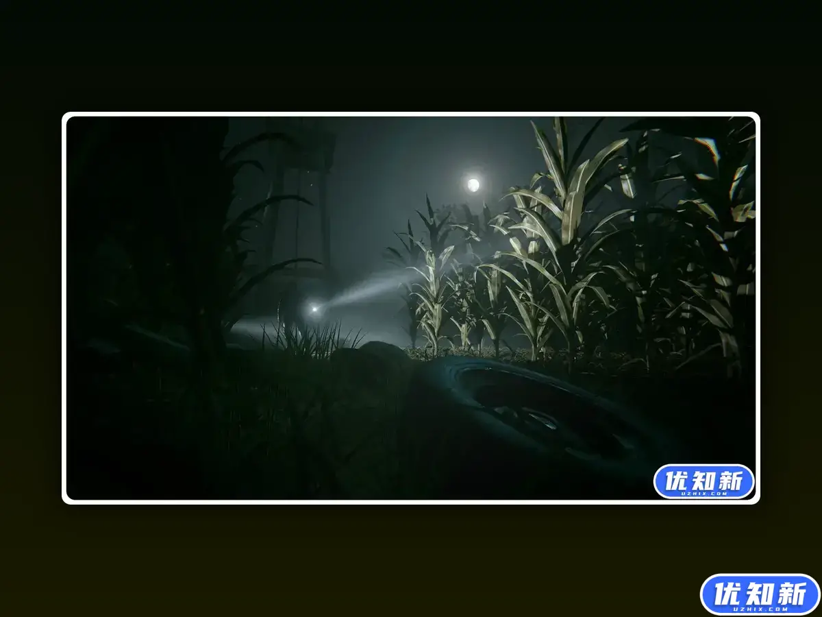 逃生2/Outlast 2