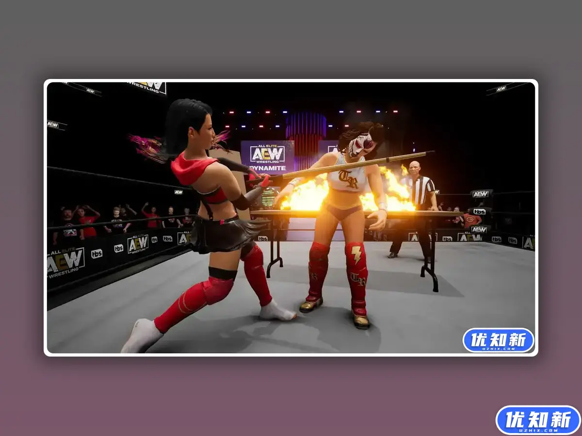 全精英摔角：永远的战斗/AEW: Fight Forever