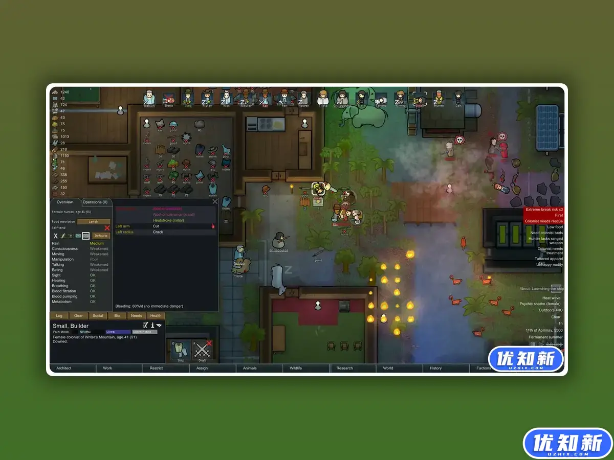 环世界/边缘世界/RimWorld