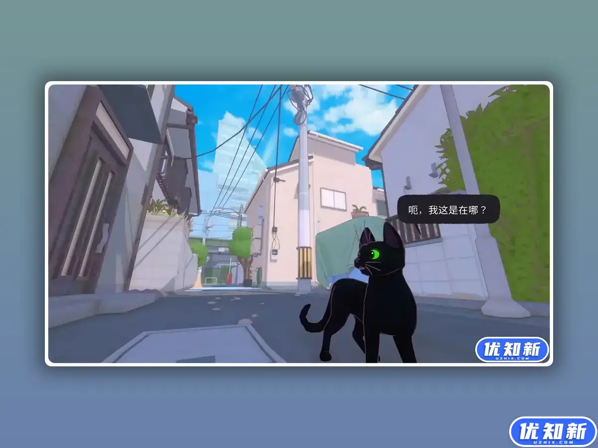 小猫咪大城市/Little Kitty, Big City
