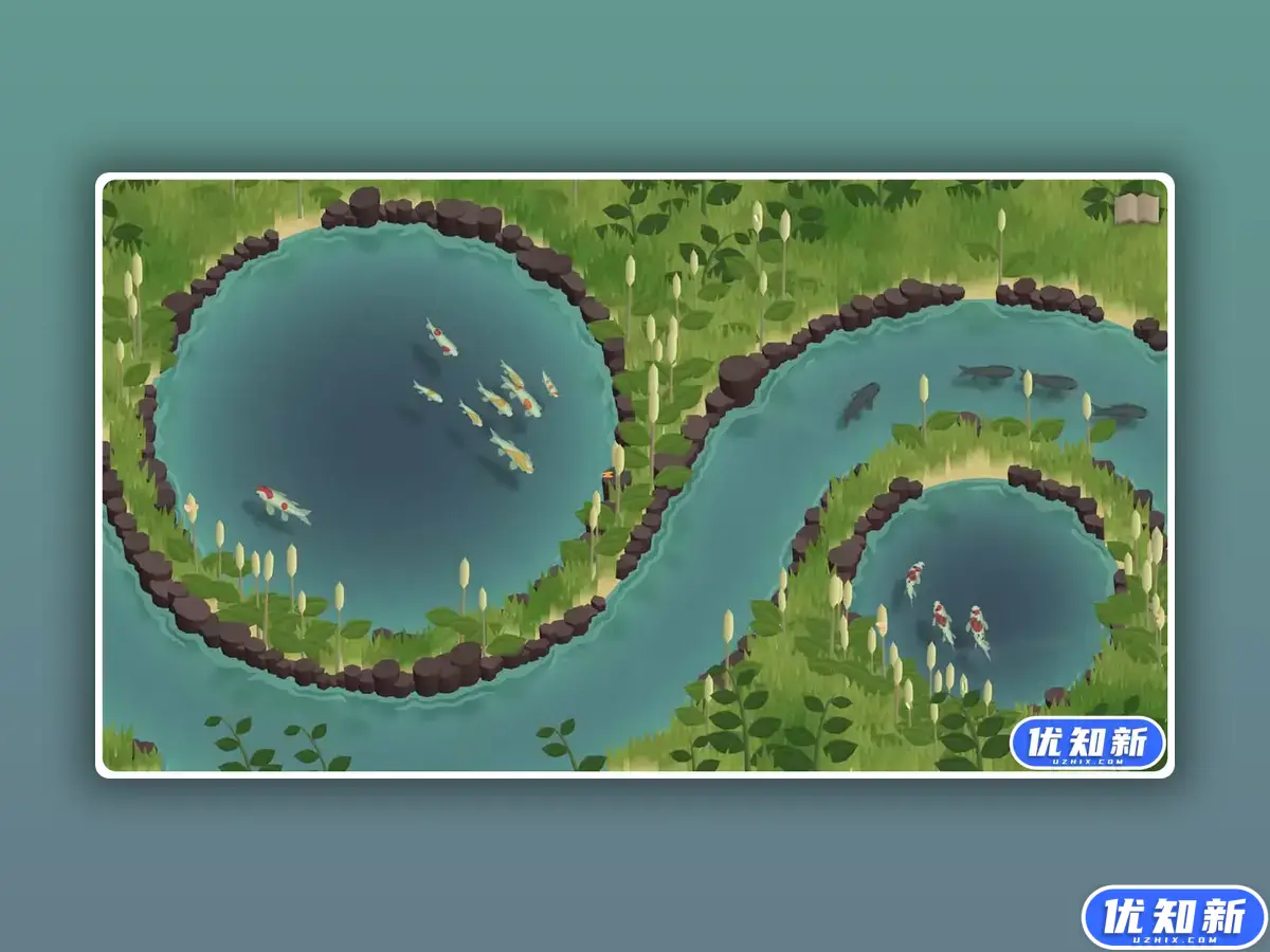 锦鲤养殖场/Koi Farm