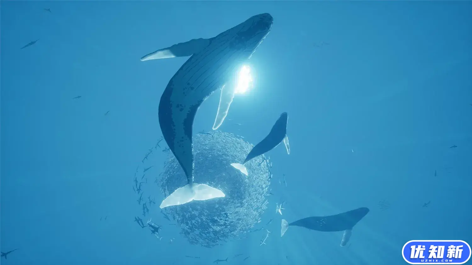 智慧之海/海洋探索/深海探险/ABZU