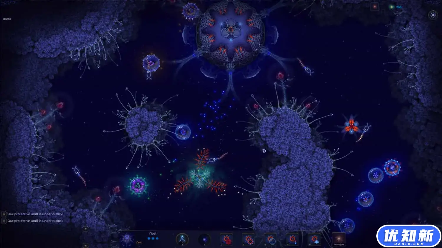 微观世界2/Microcosmum 2