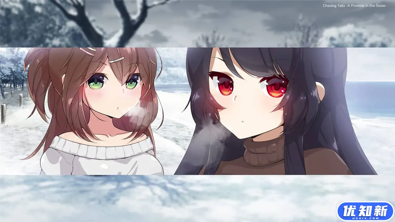 雪中誓约/Chasing Tails