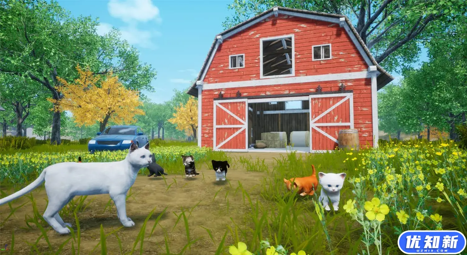 猫模拟器/Cat Simulator