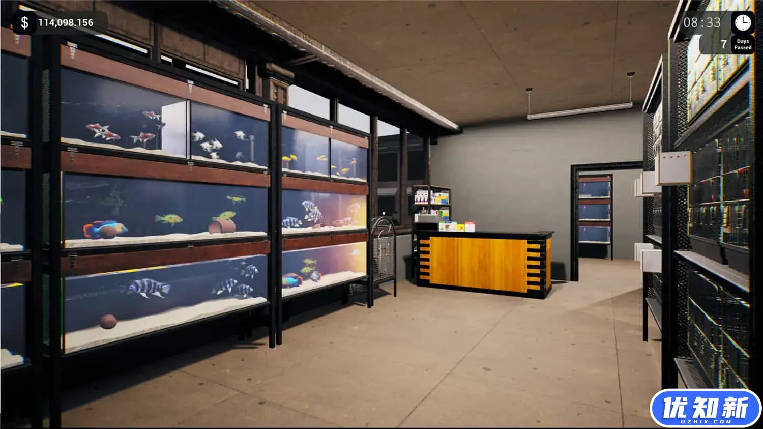 异国宠物商店模拟器/Exotica: Petshop Simulator