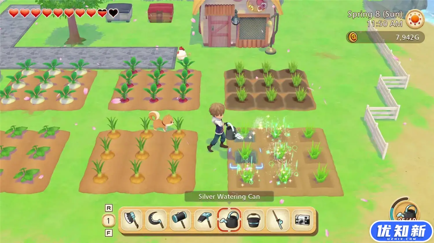 牧场物语：橄榄镇与希望的大地/STORY OF SEASONS: Pioneers of Olive Town