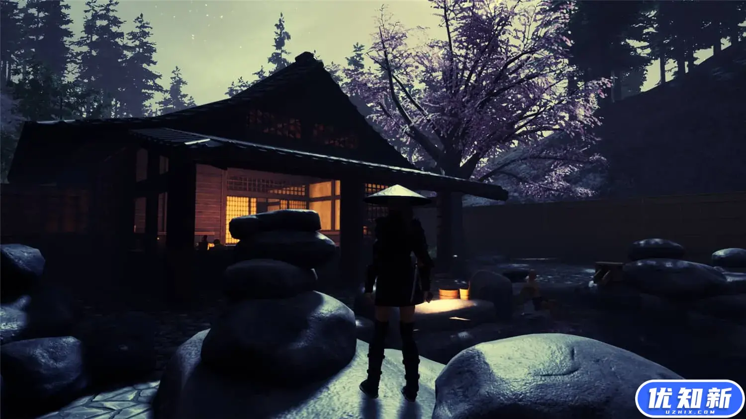 忍者传：三好家的陨落/Tale of Ninja: Fall of the Miyoshi
