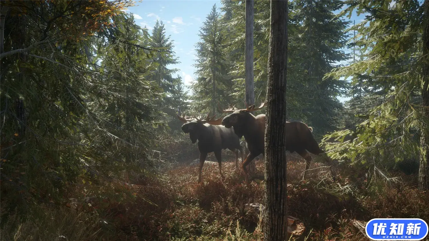猎人：荒野的召唤/theHunter: Call of the Wild/支持网络联机