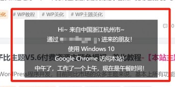WordPress网站问候提醒语来源地址客户端信息美化-知新网