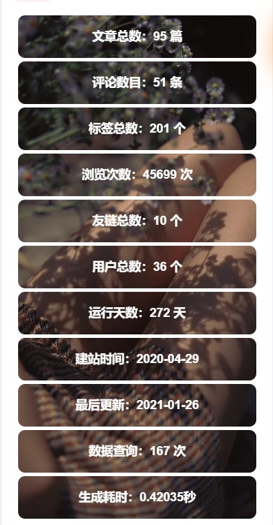 图片[3]-WordPress侧边栏信息统计小工具[WP小工具]-星语的小木屋